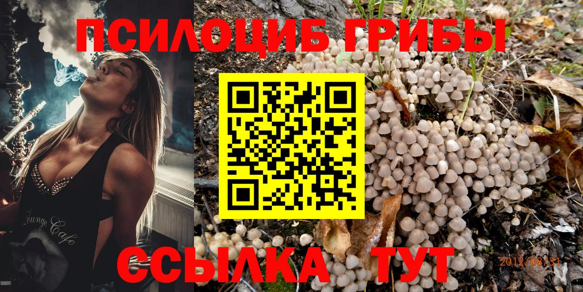 Псилоцибиновые грибы Cubensis Джанкой